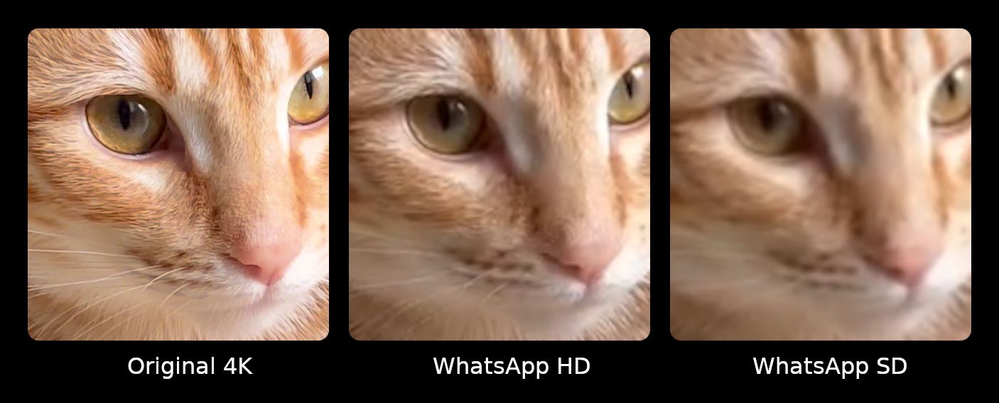 Video still quality comparison with high to low detail